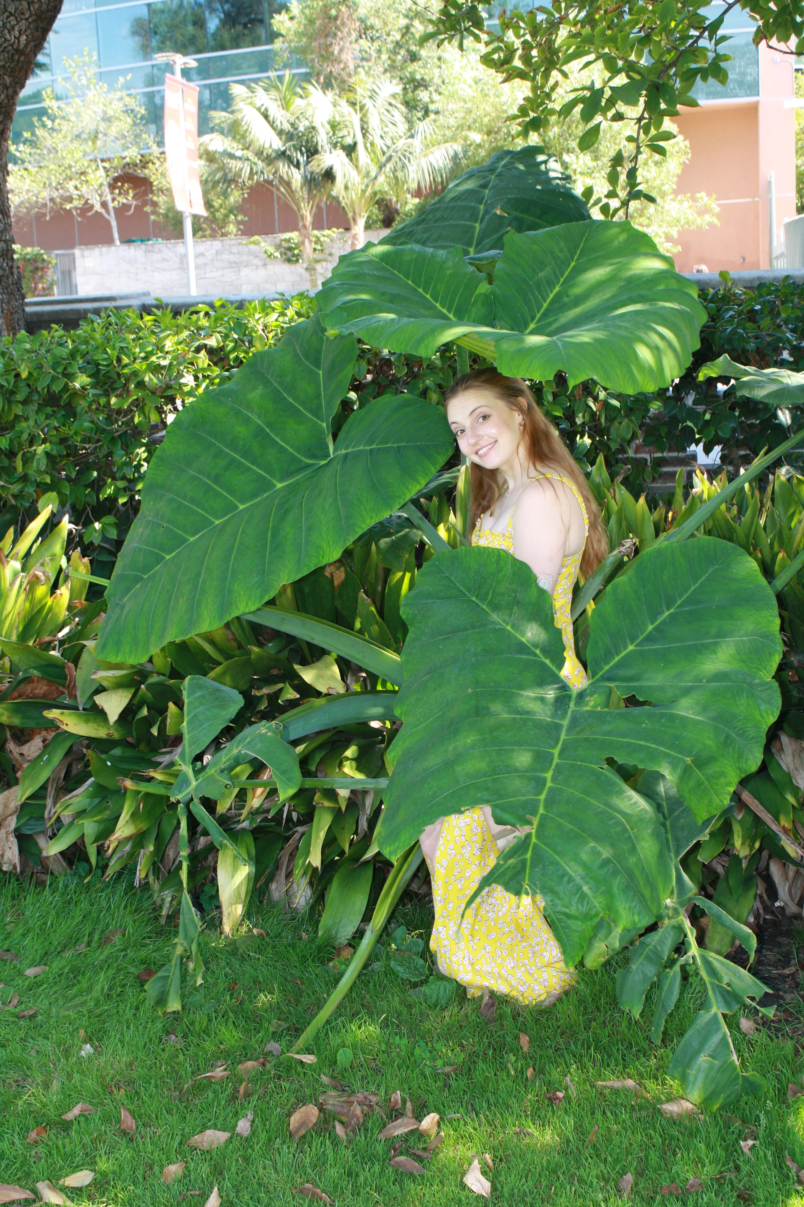 Jordie Morris standing among large green leaves in a yellow dress at the Exposition Park Rose Garden.